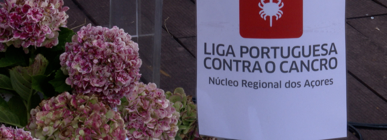Imagem de Liga Portuguesa Contra Cancro inaugura primeiro Gabinete de Apoio de Voluntariado nos Açores