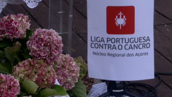 Liga Portuguesa Contra Cancro inaugura primeiro Gabinete de Apoio de Voluntariado nos Açores