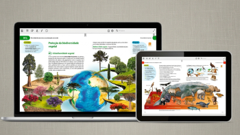 Imagem de Sindicato dos Professores alerta para alunos nos Açores sem acesso a manuais digitais