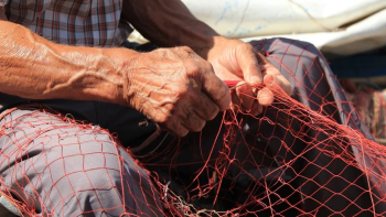 Imagem de Petição exige igualdade na proteção social dos pescadores e armadores da pequena pesca