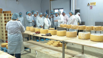 Jornadas PSD: Anteproposta do orçamento prevê verbas para valorizar e promover o Queijo de São Jorge