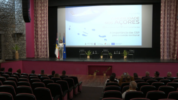 Serviço Público Transporte Aéreo: Berta Cabral defende mais fundos comunitários