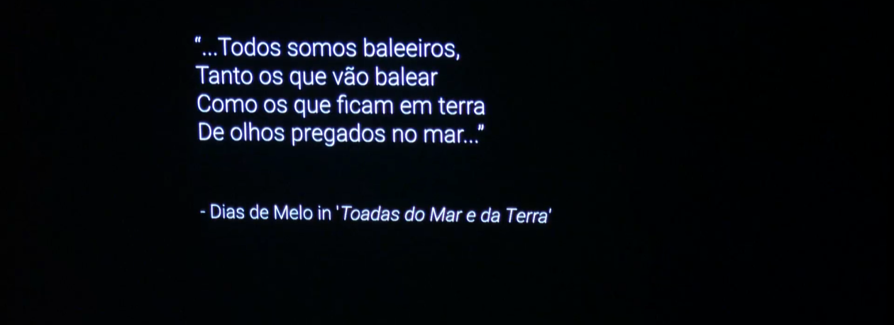 Imagem de Whaleboat Summit: A importância das Mulheres na história da baleação